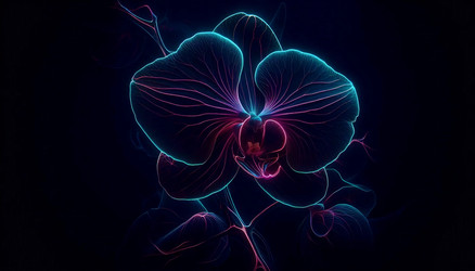 Similar image 22519506