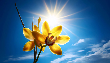 Similar image 22505098