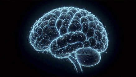 Similar image 22513341