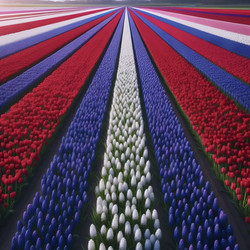 Similar image 22508273