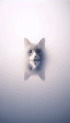 Similar image 22517340