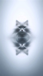 Similar image 22517516