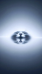 Similar image 22523437