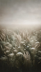 Similar image 22508899