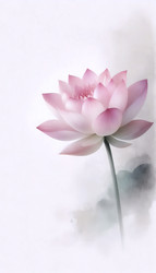 Similar image 22523447