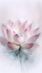 Similar image 22523818