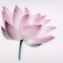 Similar image 22525398