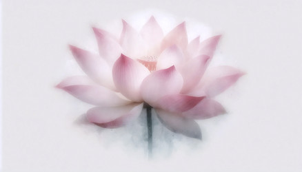 Similar image 22527421