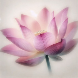 Similar image 22505131