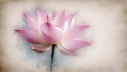 Similar image 22505792