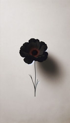 Similar image 22514040