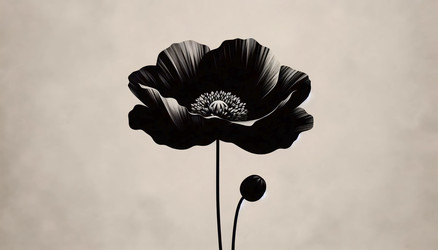 Similar image 22515489