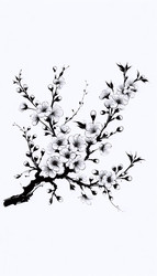 Similar image 22549853