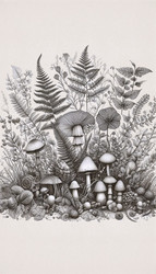 Similar image 22552451