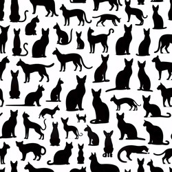 Similar image 22505437