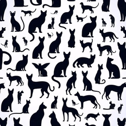 Similar image 22505564