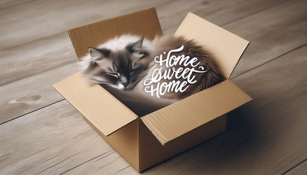 Similar image 22507051