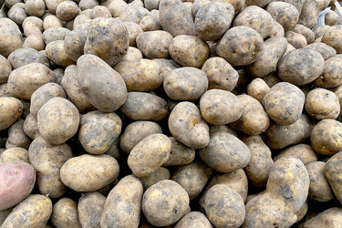 Similar image 22586522