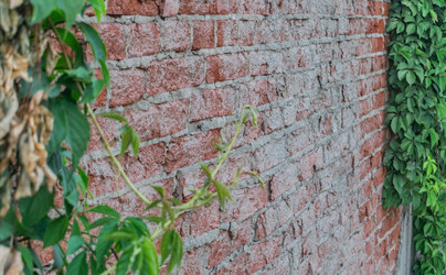 Similar image 22580944