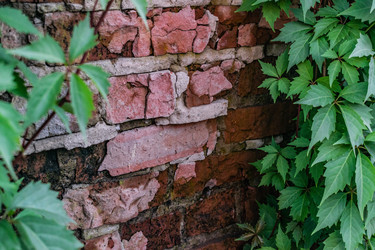 Similar image 22489887