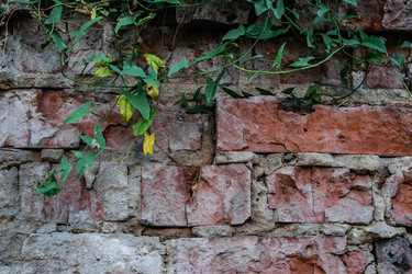 Similar image 22580946