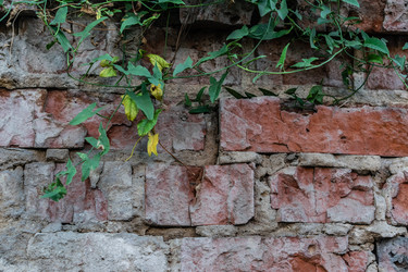 Similar image 22580948