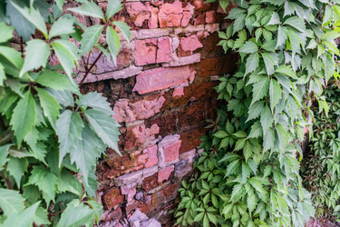 Similar image 22577533