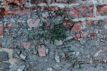 Similar image 22577535