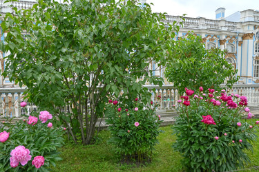 Similar image 22585732