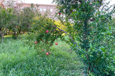 Similar image 22586919