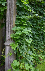 Similar image 22585780