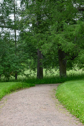 Similar image 22585792