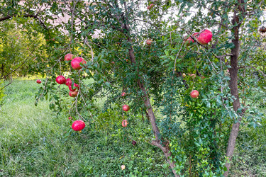 Similar image 22493413