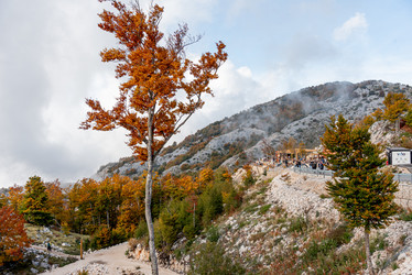 Similar image 22497216