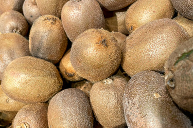 Similar image 22497513