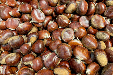 Similar image 22499681