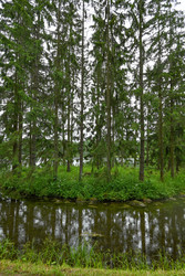 Similar image 22585783