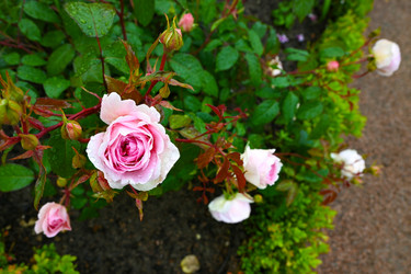 Similar image 22585786