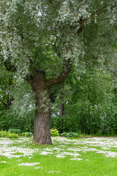 Similar image 22585799