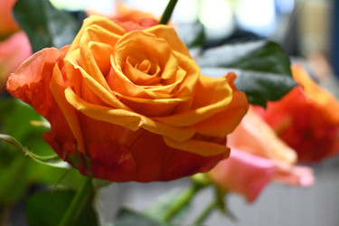 Similar image 22585810