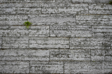 Similar image 22585822