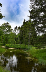 Similar image 22585823