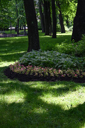 Similar image 22585869