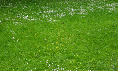 Similar image 22585896