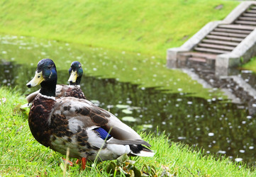 Similar image 22585690