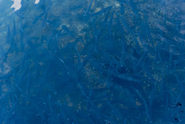 Similar image 22591233