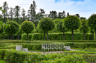 Similar image 22585826