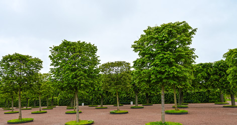 Similar image 22585827