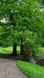 Similar image 22585841