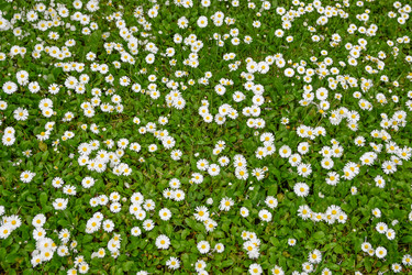 Similar image 22585870